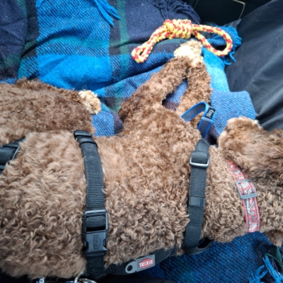 PHOTO-2025-08-09-15-26-24