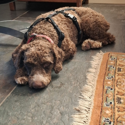 PHOTO-2025-08-09-20-12-08