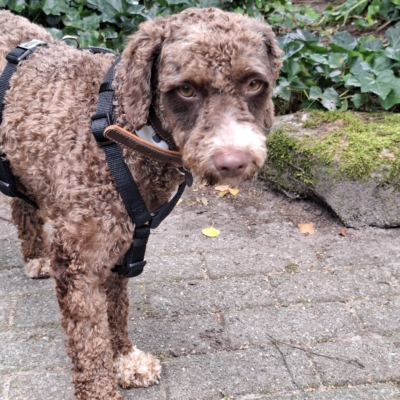 PHOTO-2025-08-10-11-05-00