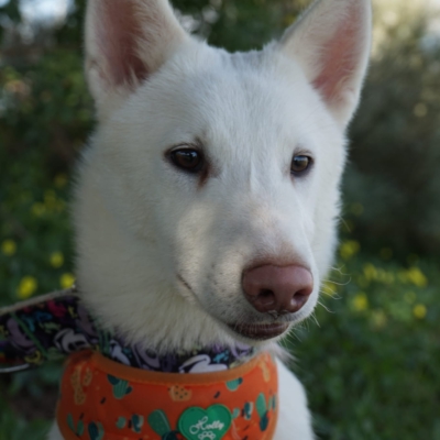 PHOTO-2025-10-05-11-42-46 10