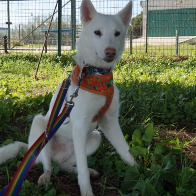 PHOTO-2025-10-05-11-42-46 11