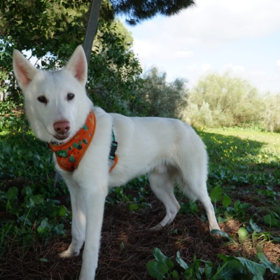 PHOTO-2025-10-05-11-42-46 13