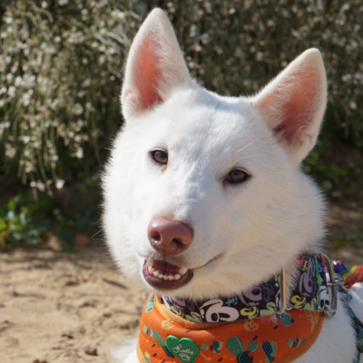 PHOTO-2025-10-05-11-42-46 2