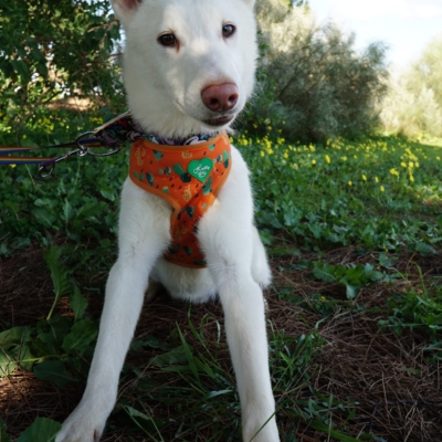 PHOTO-2025-10-05-11-42-46 3