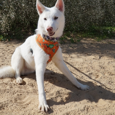 PHOTO-2025-10-05-11-42-46 4