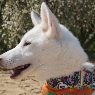 PHOTO-2025-10-05-11-42-46