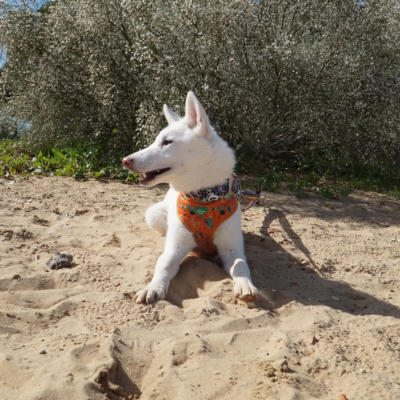 PHOTO-2025-10-05-11-42-46 5