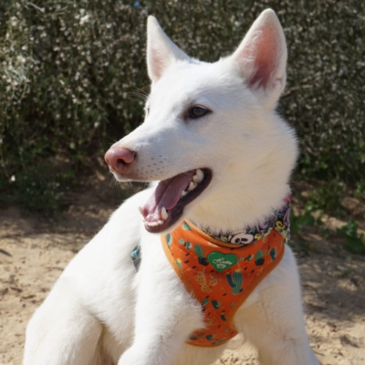 PHOTO-2025-10-05-11-42-46 6