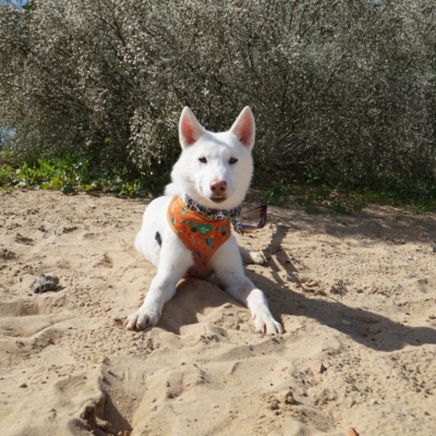 PHOTO-2025-10-05-11-42-46 7