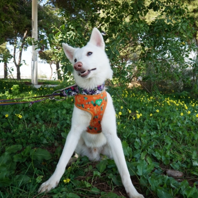 PHOTO-2025-10-05-11-42-46 8