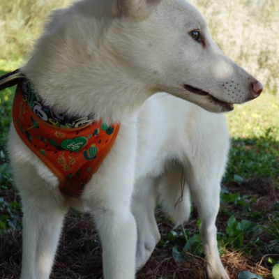 PHOTO-2025-10-05-11-42-46 9