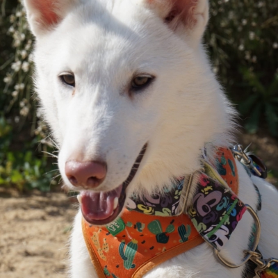 PHOTO-2025-10-05-11-42-46 kopie