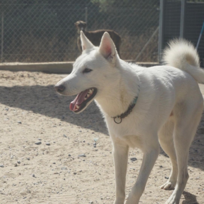 PHOTO-2025-10-05-15-20-11