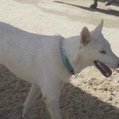 PHOTO-2025-10-05-15-20-12 2