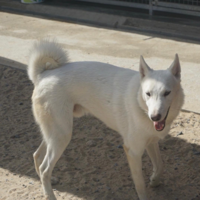 PHOTO-2025-10-05-15-20-12 3