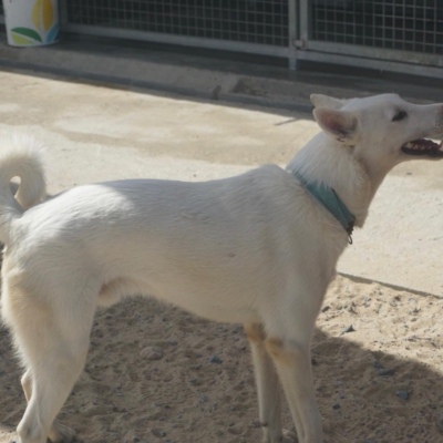 PHOTO-2025-10-05-15-20-12 4