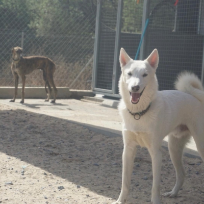 PHOTO-2025-10-05-15-20-12