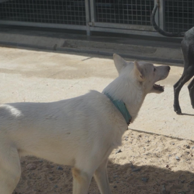 PHOTO-2025-10-05-15-20-12 5