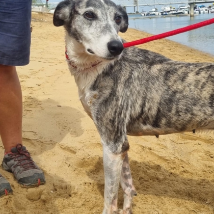 PHOTO-2025-10-10-19-08-26 2