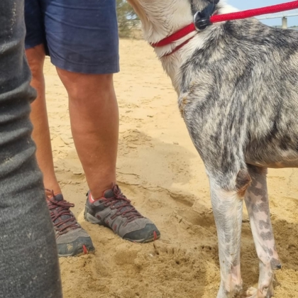 PHOTO-2025-10-10-19-08-26