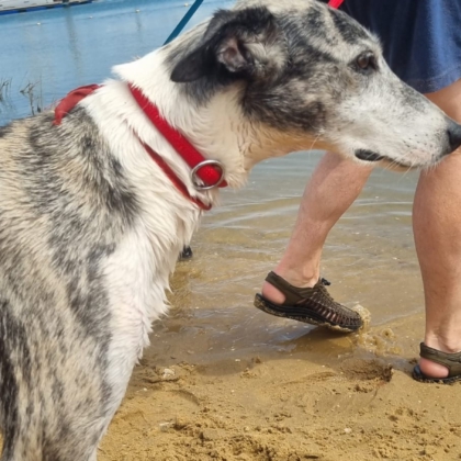 PHOTO-2025-10-10-19-08-27 2