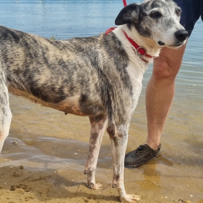 PHOTO-2025-10-10-19-08-27 3