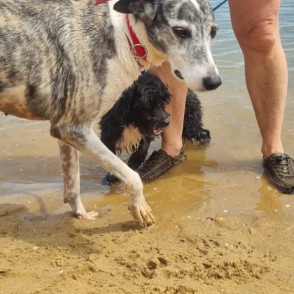 PHOTO-2025-10-10-19-08-27 4