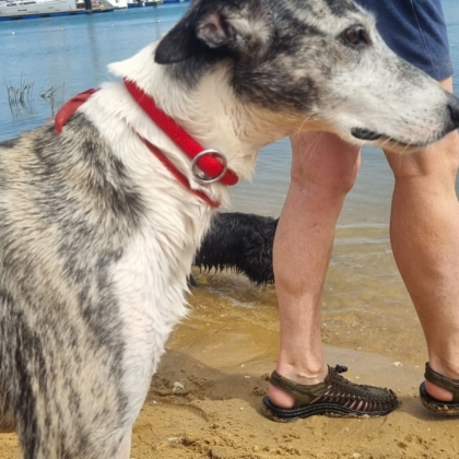 PHOTO-2025-10-10-19-08-27