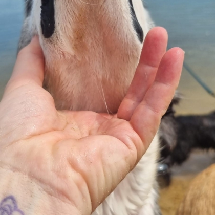 PHOTO-2025-10-10-19-08-28 2