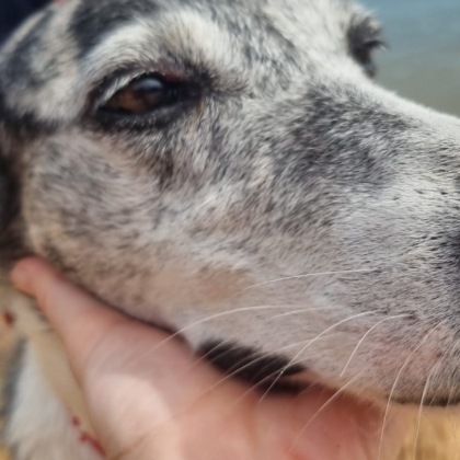 PHOTO-2025-10-10-19-08-28 3