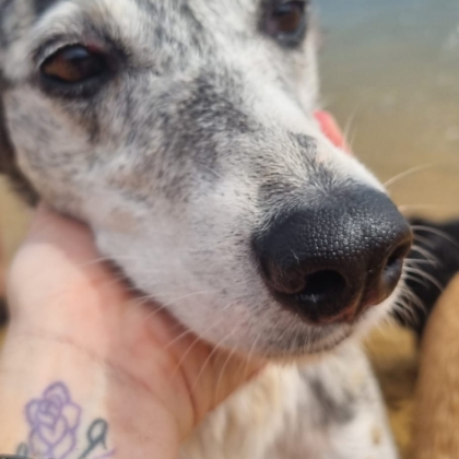 PHOTO-2025-10-10-19-08-28 4