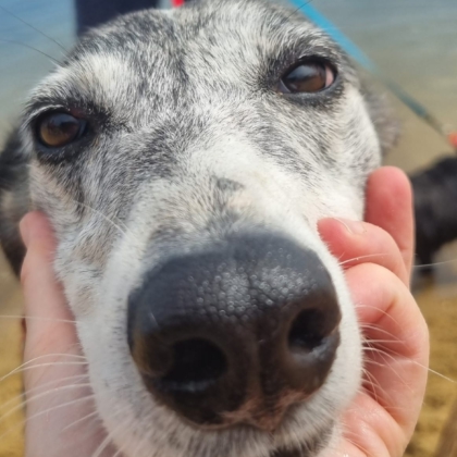 PHOTO-2025-10-10-19-08-28