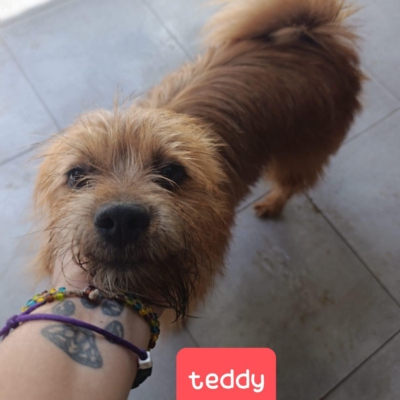 PHOTO-2025-10-12-14-58-43