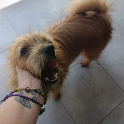 PHOTO-2025-10-12-14-58-59