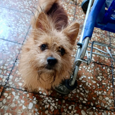 PHOTO-2025-10-12-15-02-24 2