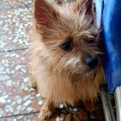 PHOTO-2025-10-12-15-02-24 3