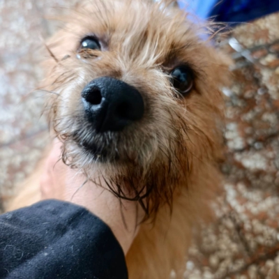 PHOTO-2025-10-12-15-02-24 4