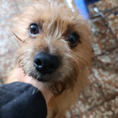 PHOTO-2025-10-12-15-02-24