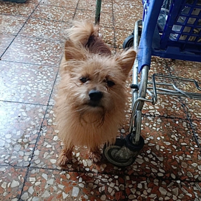 PHOTO-2025-10-12-15-02-25 2