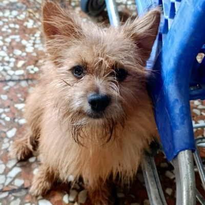 PHOTO-2025-10-12-15-02-25