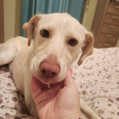 PHOTO-2025-10-12-15-32-31 2