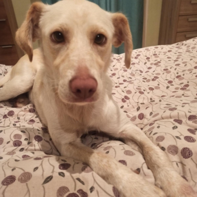 PHOTO-2025-10-12-15-32-31