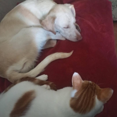 PHOTO-2025-10-12-15-32-32 2