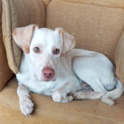 PHOTO-2025-10-12-15-32-32 3