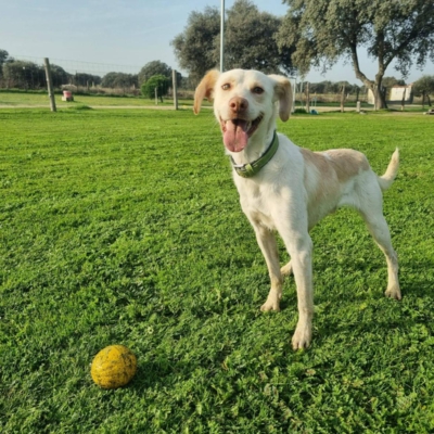 PHOTO-2025-10-12-15-33-45 2