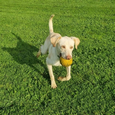 PHOTO-2025-10-12-15-33-45 3