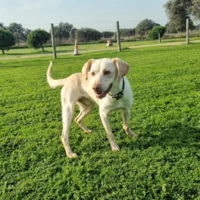 PHOTO-2025-10-12-15-33-45 4