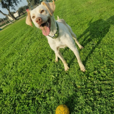 PHOTO-2025-10-12-15-33-45