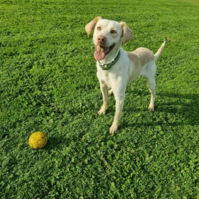 PHOTO-2025-10-12-15-33-45 5