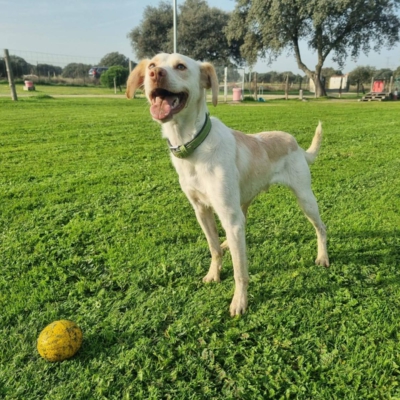 PHOTO-2025-10-12-15-33-45 6